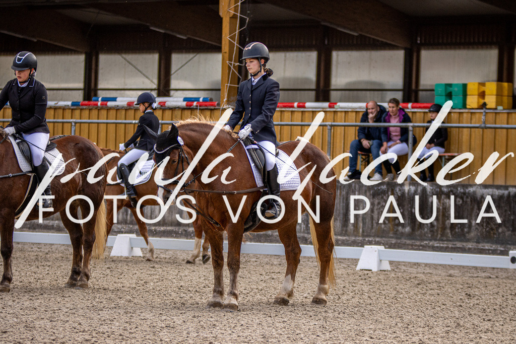 IMG_3496 | Erleben Sie dynamische Sport- und emotionale Tierfotografie in Süddeutschland mit Fotos von Paula. Spezialisiert auf Pferde- und Hundefotografie sowie Sportevents. Kontaktieren Sie mich für einzigartige und ausdrucksstarke Bilder Ihrer besonderen Momente. - Realisiert mit Pictrs.com