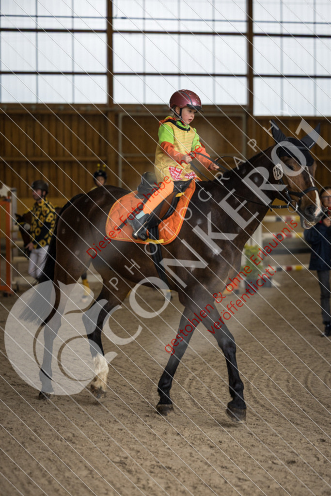 IMG_1937 | Sport-, Event- und Tierfotos in Profiqualität. Einfach auswählen, bestellen und herunterladen. Dein Moment – perfekt festgehalten.