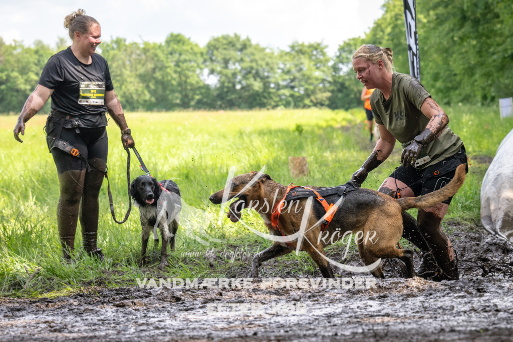 1340_ZZ91883 | kk-dogfotos