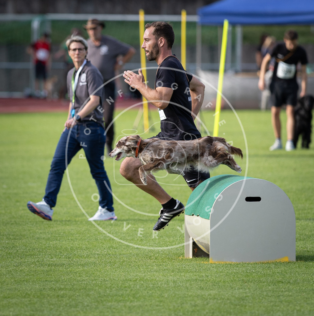 Pfotenfotografie_DV3A2830 | Hundefotografie, Tierfotograf, Pfotenfotografie, Fotoshooting Hund, Hunde Portrait, Hundesport, Hundeportraits, Heideshooting, Hunde, Sportfotograf, Hundefotograf, Turnierhundsport, THS,  - Realisiert mit Pictrs.com