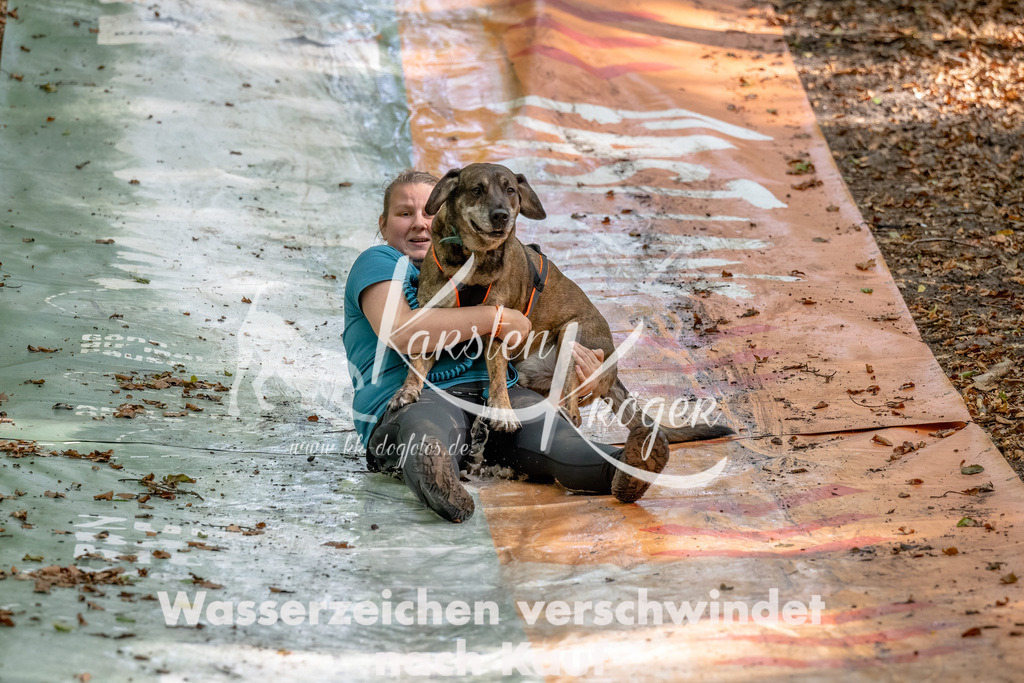 1241_ZZ90880-Bearbeitet | kk-dogfotos