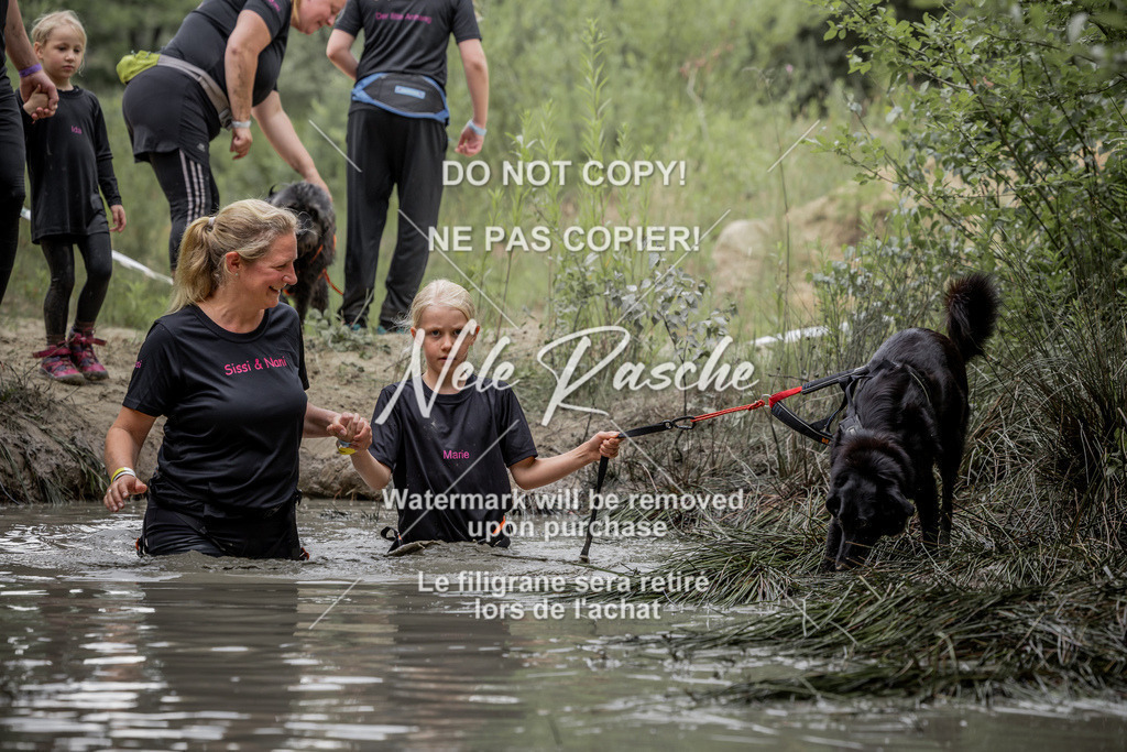 nelerasche_so1515-1530_379 | nelerasche