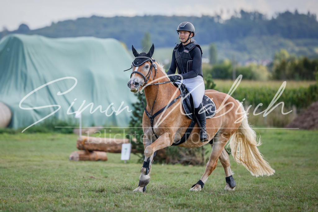 20250905-_3LI0395 | Tierfotografie Pferde, Hunde, Katzen, Haustiere.
Turnierfotografie Reitturniere, Reiten, Springreiten, Dressur in Hanau, dem Main-Kinzig-Kreis und dem Rhein-Main- Gebiet um Frankfurt