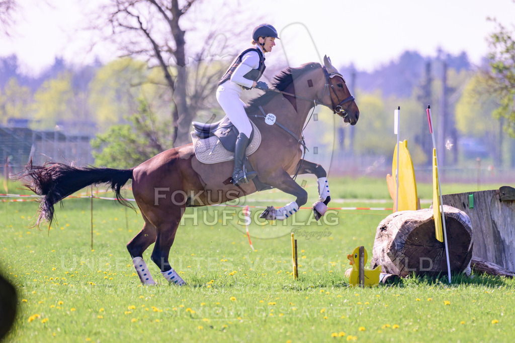 18042026-Gernlinden-03-0444 | Fokus Hufschlag Fotografie - Realisiert mit Pictrs.com