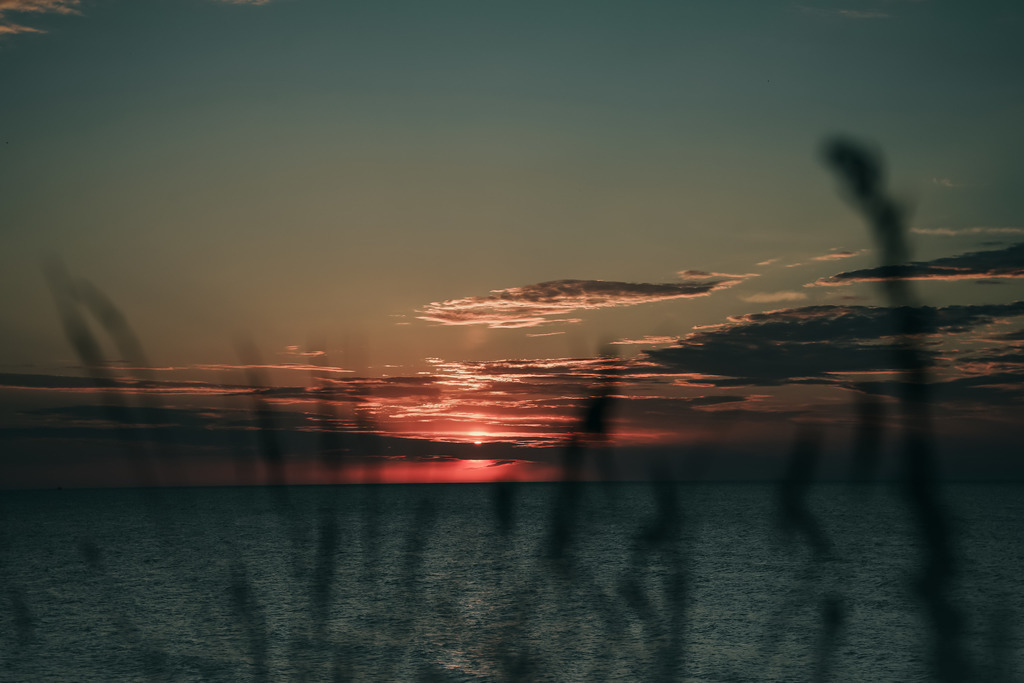 DSC07670 | frl-wunderlich - Realisiert mit Pictrs.com