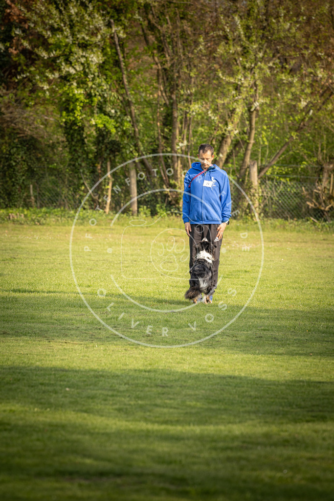 Pfotenfotografie_DV3A4826 | Hundefotografie, Tierfotograf, Pfotenfotografie, Fotoshooting Hund, Hunde Portrait, Hundesport, Hundeportraits, Heideshooting, Hunde, Sportfotograf, Hundefotograf, Turnierhundsport, THS,  - Realisiert mit Pictrs.com
