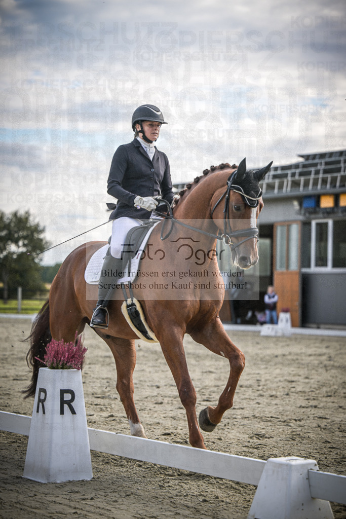 DOS_1090 | Entdecke hochwertige Reitturnierfotos von Foto Oger. Professionell, emotional und authentisch – jetzt Lieblingsmomente im Shop bestellen.Deutschlandweite Turnierfotografie. - Realisiert mit Pictrs.com