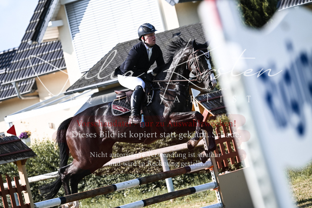 DSC_7538 | Pferde- und Turnierfotografie in Westsachsen. Pferdeportraits, Auftragszeichnungen und intuitive Kunst.