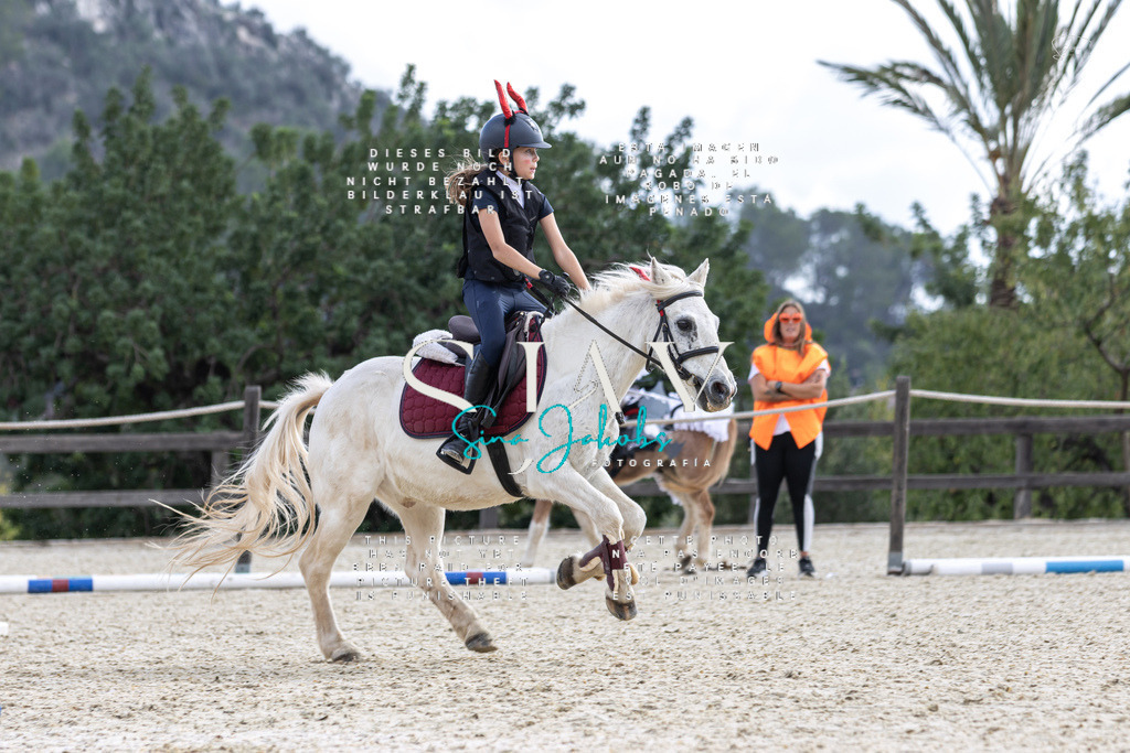 IMG_2275 | s-jay-photography - Realisiert mit Pictrs.com