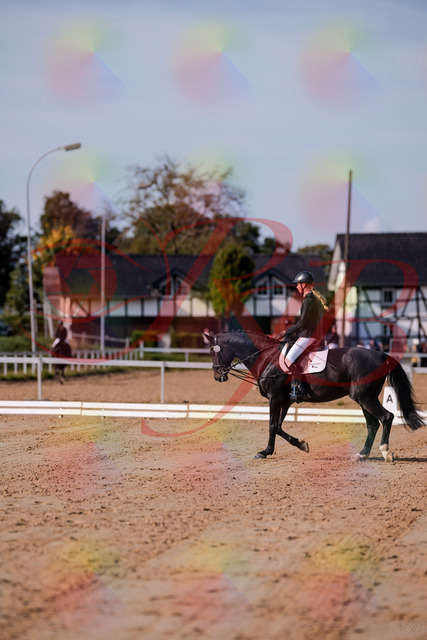 2026_10_03_Siefer-Hof_115444_Z81_94451587 | Professionelle Reitsport-, Turnier- und Eventfotografie von Robert Broda. Galerien mit ausgewählten und bearbeiteten Bildern direkt online ansehen und bestellen.