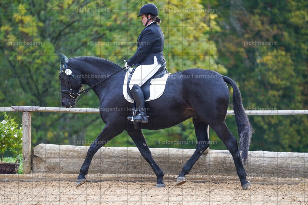 20221008-FAH00851 | Diessen am Ammersee, 2022, Dressur- und Springturnier, Reitsportbilder, Turnierfotografen Bayern, Pferdefotografen, Fotoagentur Herrmann, Turnierbilder