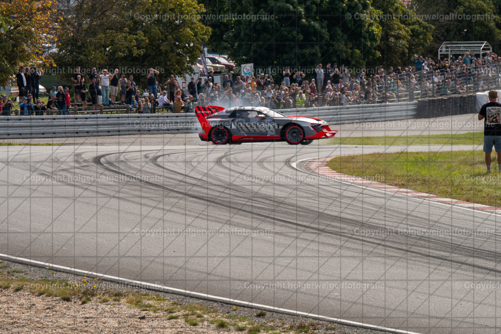 20250907114147D75_6788 | Bitte beachten!!!
Alle Fotos dieser Galerie sind nur grundbearbeitet. Im Falle eines Verkaufs, werde ich die Fotots noch mit dem nötigen Feinschliff versehen. - Realisiert mit Pictrs.com