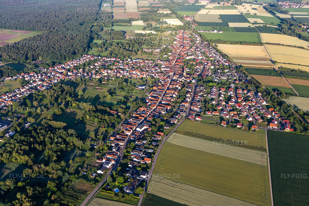 Luftbild: Dorfansicht aus Osten im Ortsteil Schaidt in Wörth im Bundesland Rheinland-Pfalz in Deutschland. Foto: IMG_007786.jpg vom 21.06.2020 durch Werner Riehm/FLY-FOTO.de