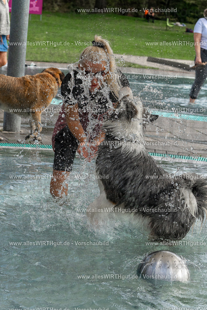 Hundeschwimmen_Volksbad_2026-allesWIRTHgut_Tierfotografie-2609061512-FAY07162 | Professionelle Tierfotografie in Mönchengladbach von Daniel Wirth (allesWIRTHgut). Liebevolle & natürliche Bilder von Hunden & Katzen für unvergessliche Erinnerungen.