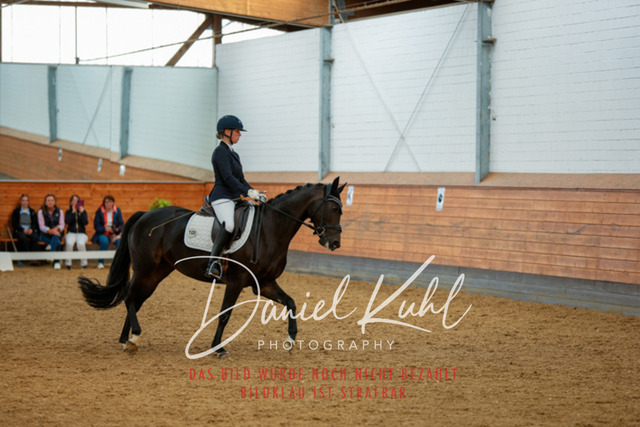 _62_4991 | Turniersportfotografie; Pferdefotografie; Dressurfotografie