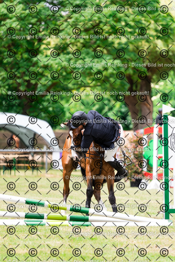 CL5A5911 | Emilia Reinking Fotografie - Realisiert mit Pictrs.com