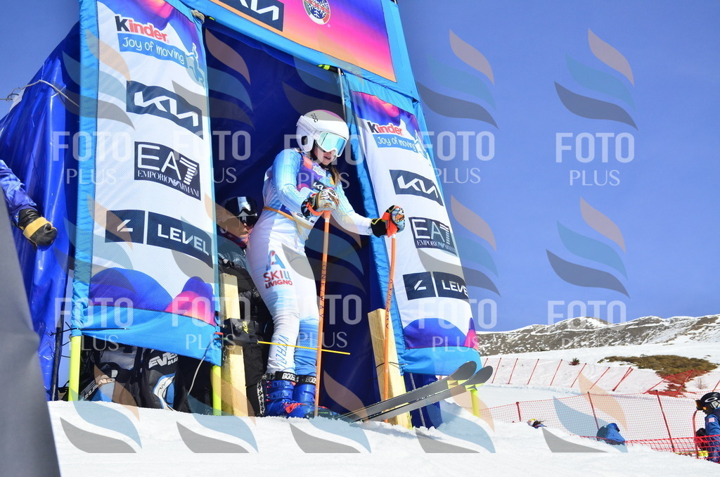 _ELE0136 | holidayphoto