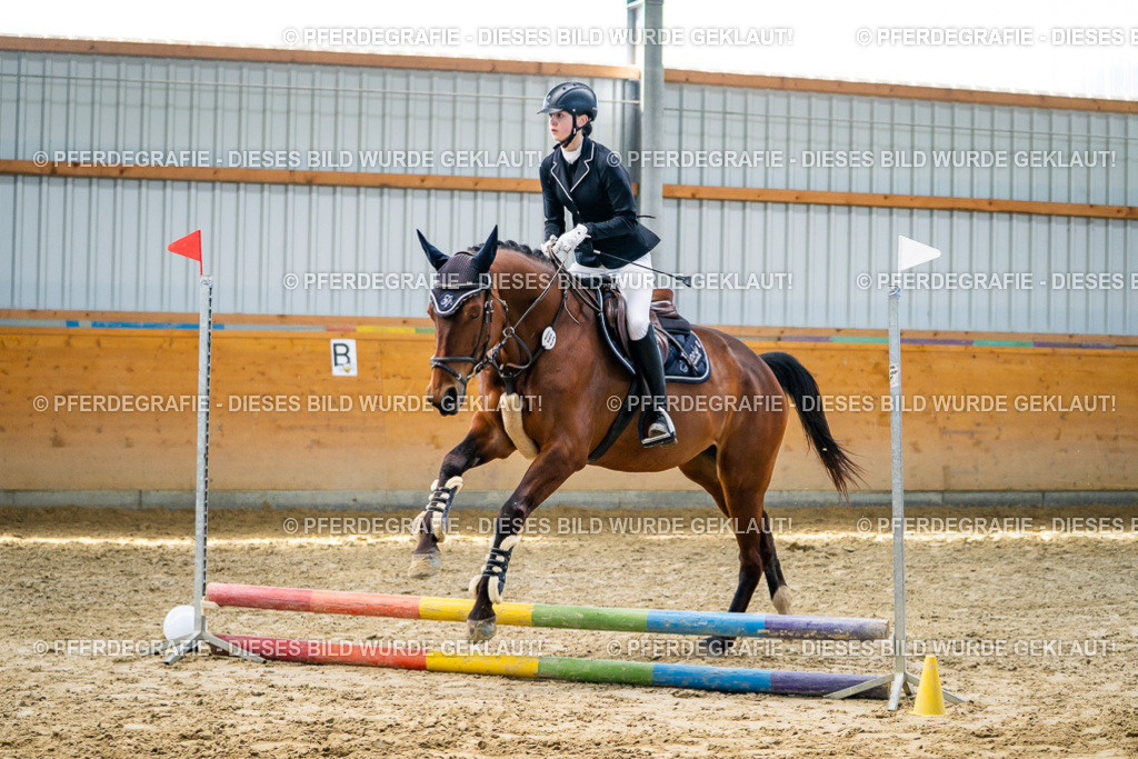 DSC01782 | Pferdegrafie