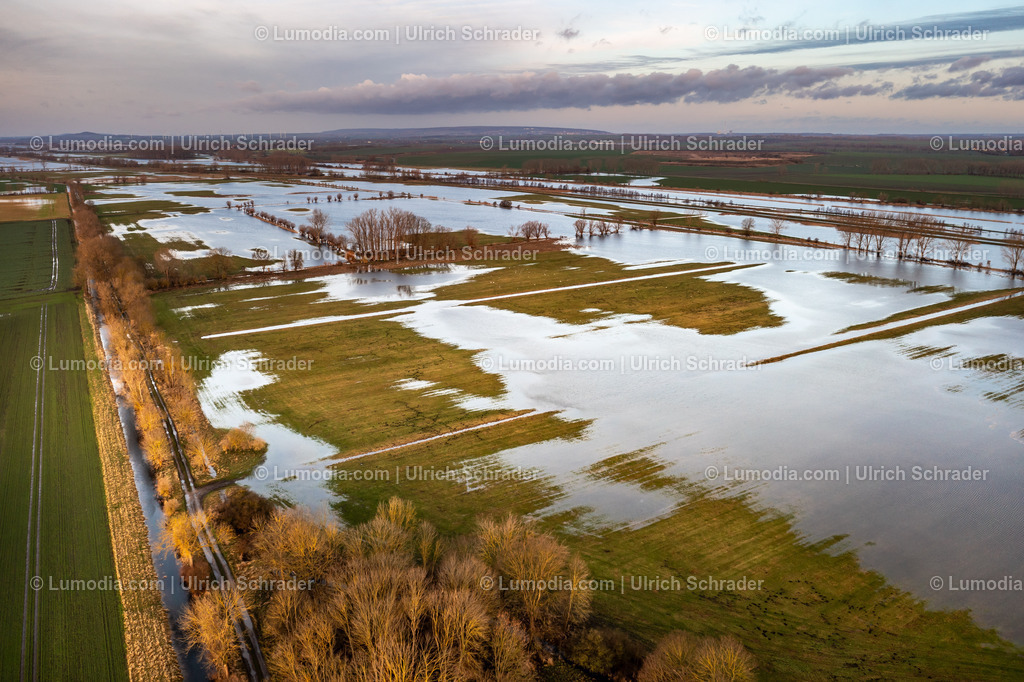 10049-51814 - Hochwasser im Großen Bruch | Stockfoto und Bilderpool mit Bildmaterial aus Deutschland, dem Harz, Halberstadt, Quedlinburg, Wernigerode und weltweit. Qualitativ hochwertige und professionelle Fotos anschauen und kaufen. - Realisiert mit Pictrs.com