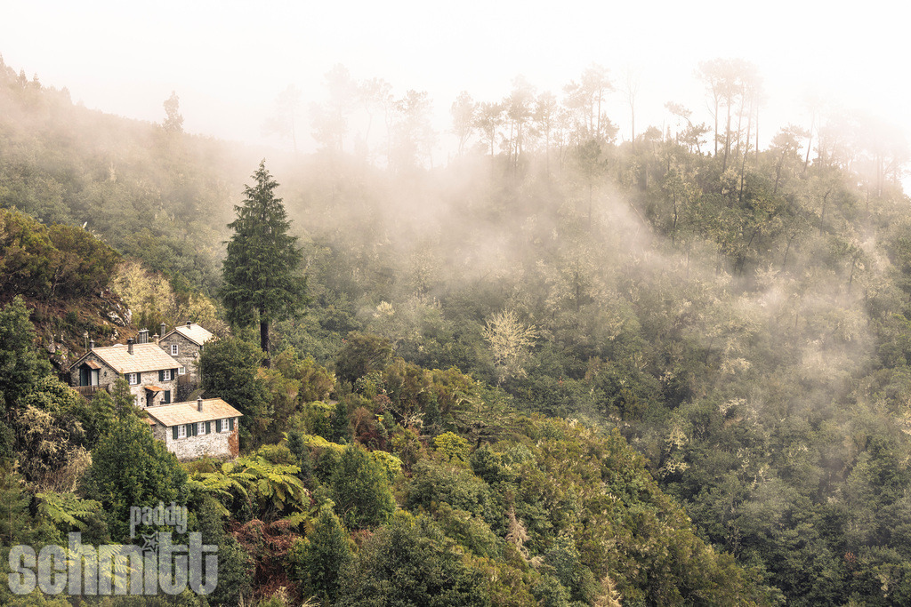 PS-Madeira-2026-10 | Entdecke die größte Bildgalerie der Region mit Fotografien aus dem Allgäu, der Bodenseeregion, Oberschwaben, dem Donautal und der Schwäbischen Alb. Landschaften, Luftaufnahmen und Reisefotografie als Wandbild und Fotokunst. - Realisiert mit Pictrs.com