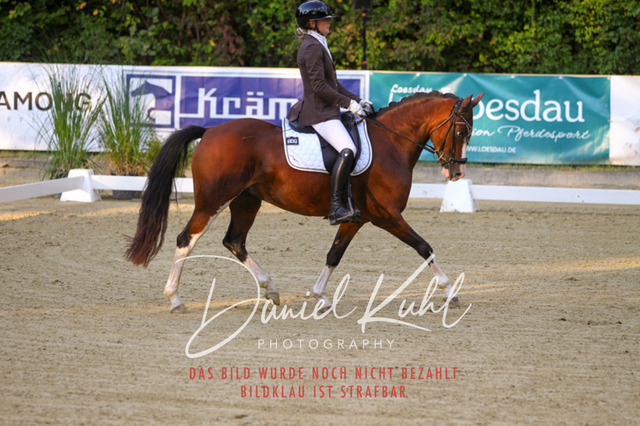 DKP41169 | Turniersportfotografie; Pferdefotografie; Dressurfotografie