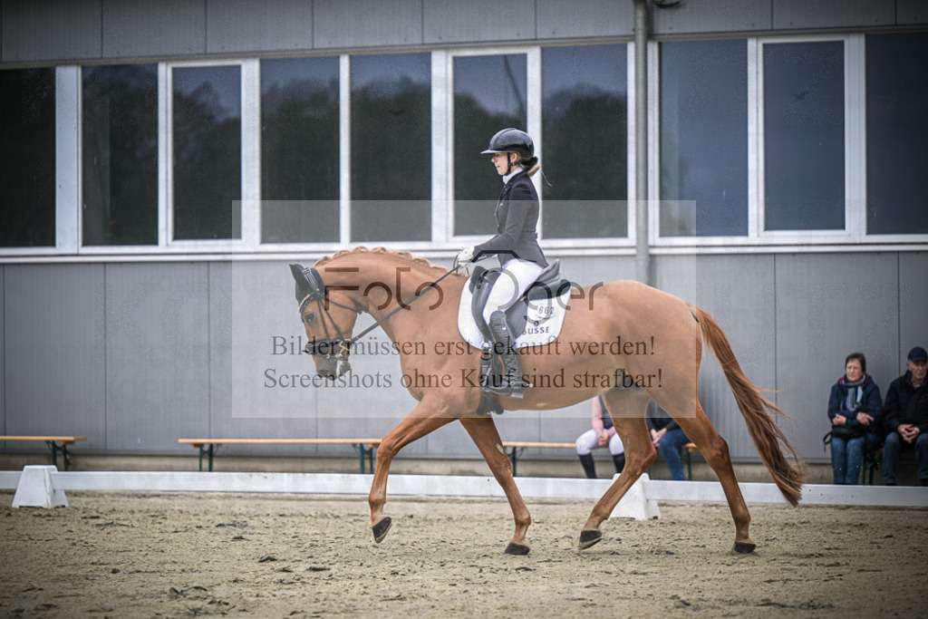 DOS_1316 | Entdecke hochwertige Reitturnierfotos von Foto Oger. Professionell, emotional und authentisch – jetzt Lieblingsmomente im Shop bestellen.Deutschlandweite Turnierfotografie. - Realisiert mit Pictrs.com