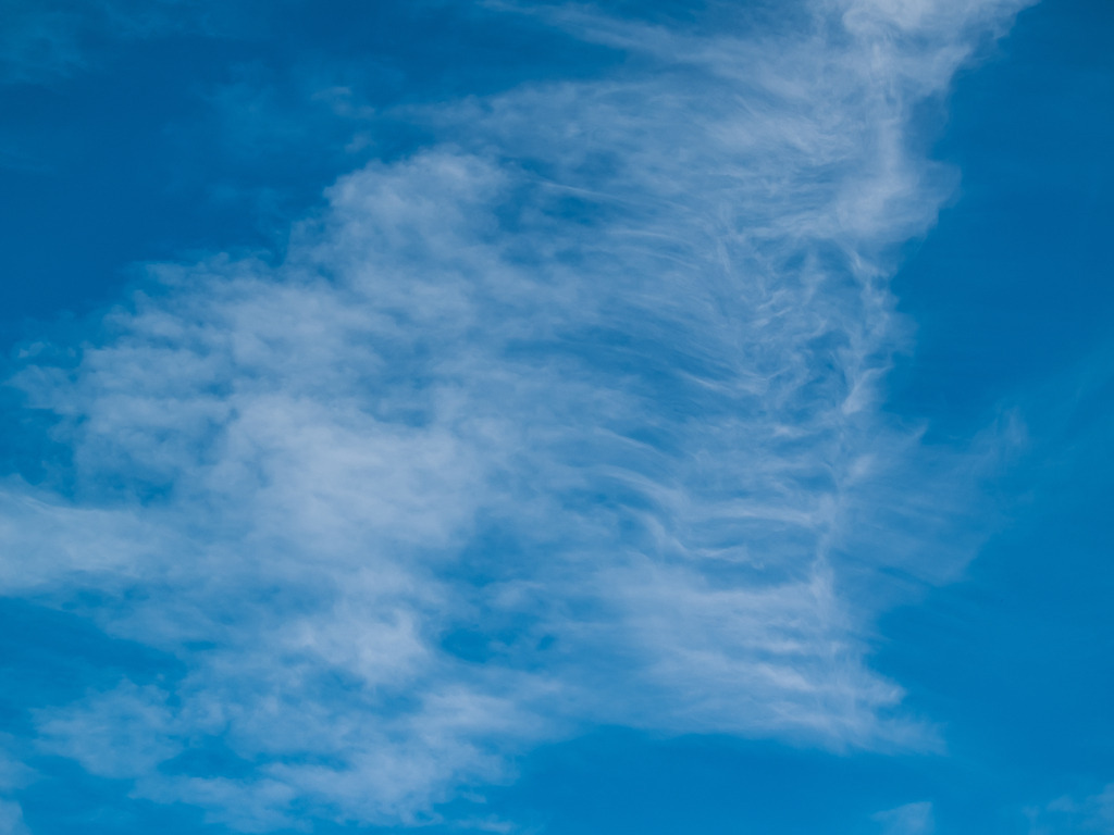 PSX_20230216_230839 | OLYMPUS DIGITAL CAMERA - Realisiert mit Pictrs.com