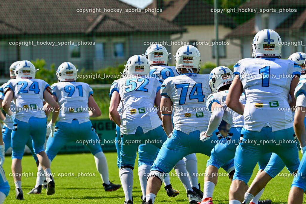 Carinthian Lions vs. Styrian Bears | Carinthian Lions vs. Styrian Bears, Carinthian Lions vs. Styrian Bears am 20.05.2024 in Klagenfurt (ASV Sportplatz), Austria, (Photo by Bernd Stefan)