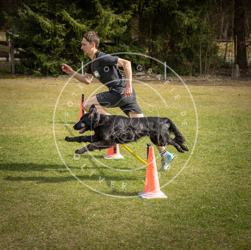 Pfotenfotografie_DV3A9358 | Hundefotografie, Tierfotograf, Pfotenfotografie, Fotoshooting Hund, Hunde Portrait, Hundesport, Hundeportraits, Heideshooting, Hunde, Sportfotograf, Hundefotograf, Turnierhundsport, THS,  - Realisiert mit Pictrs.com