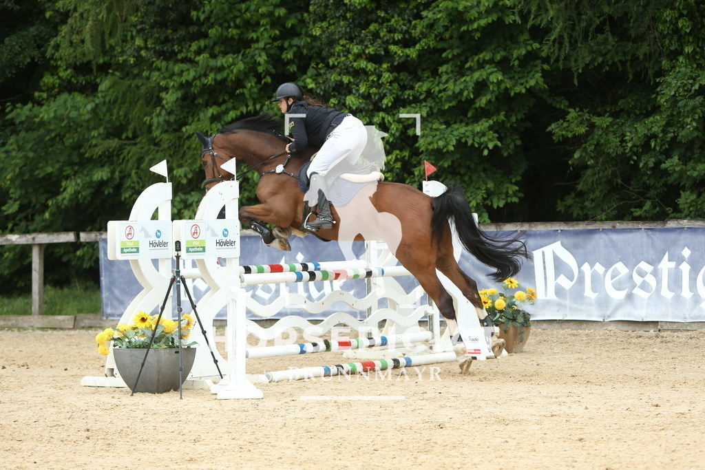 DL2Q7616 | Willkommen bei Brunnmayr - Design & Fotografie – Ihrem Spezialisten für Reitturniere und Pferdeveranstaltungen in Oberösterreich, Salzburg und Bayern! Seit über 17 Jahren sind wir leidenschaftlich dabei.