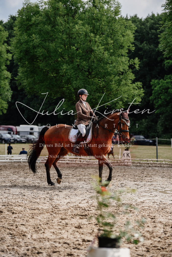 DSC_9549 | Pferde- und Turnierfotografie in Westsachsen. Pferdeportraits, Auftragszeichnungen und intuitive Kunst.