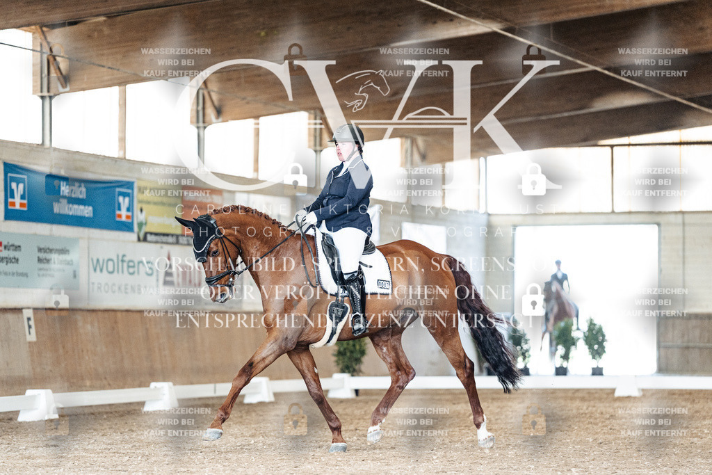 CK901672 | Turnierfotografie Pferdefotografie Trier Rheinland-Pfalz Pferdesport Reitsport Tierfotografie Sportfotografie Pferdevideo Pferdevideografie Equestrianvideography equestrianphotography  - Realisiert mit Pictrs.com
