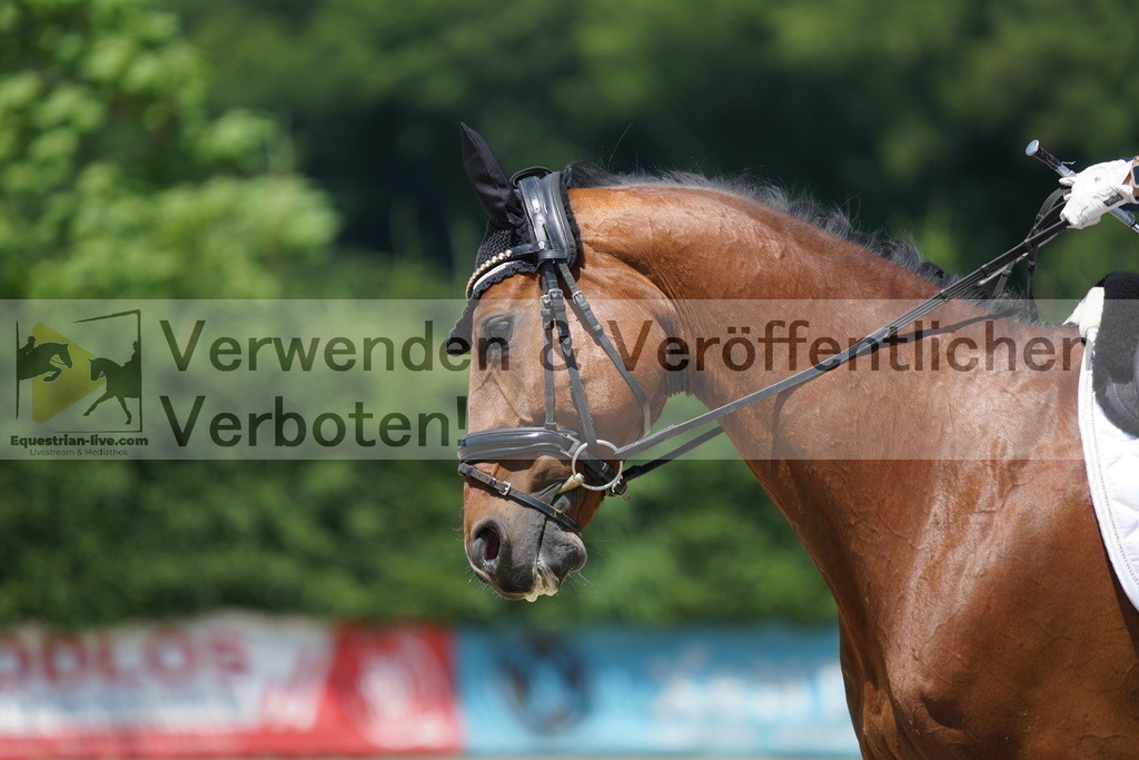 DSC03445 | equestrian-live-com