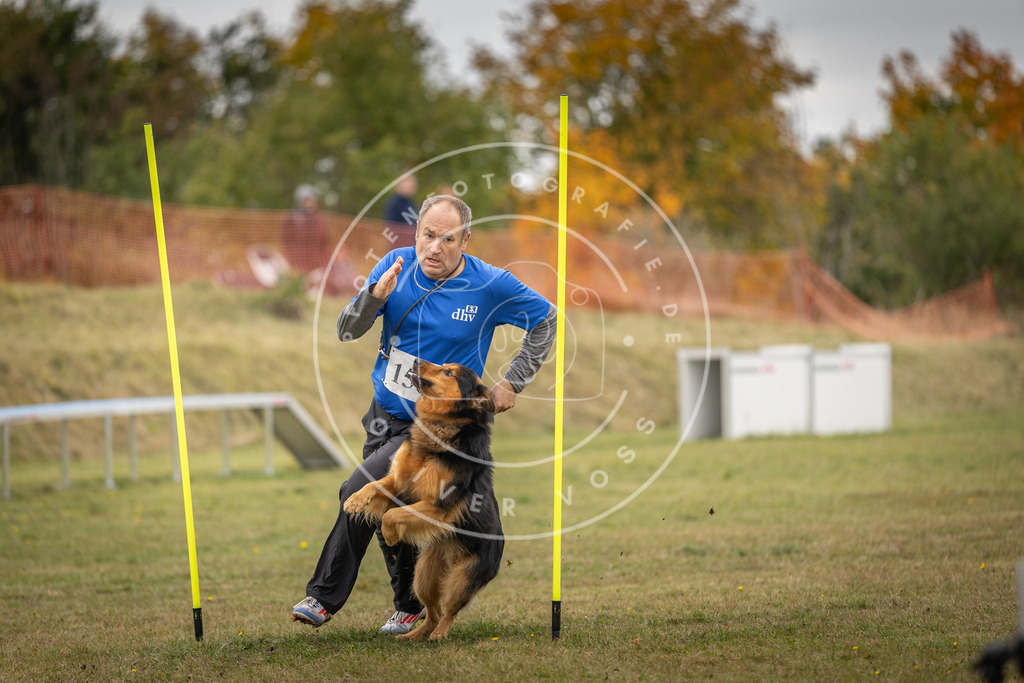 Pfotenfotografie_DV3A6479 | Hundefotografie, Tierfotograf, Pfotenfotografie, Fotoshooting Hund, Hunde Portrait, Hundesport, Hundeportraits, Heideshooting, Hunde, Sportfotograf, Hundefotograf, Turnierhundsport, THS,  - Realisiert mit Pictrs.com