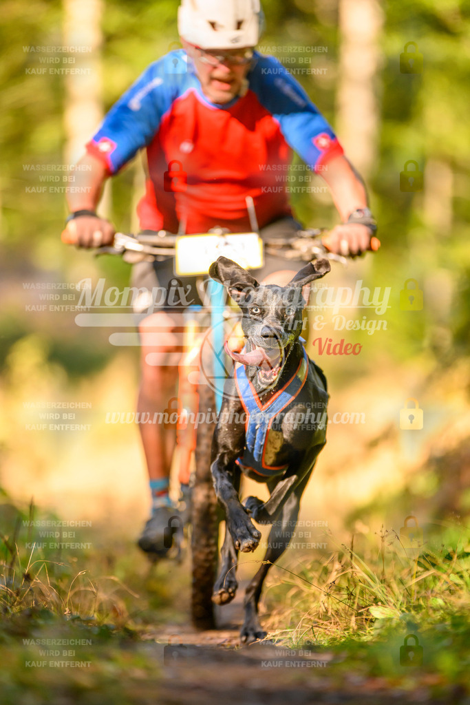 MompixPhotography_Yens2025_B3-67 | PayLife