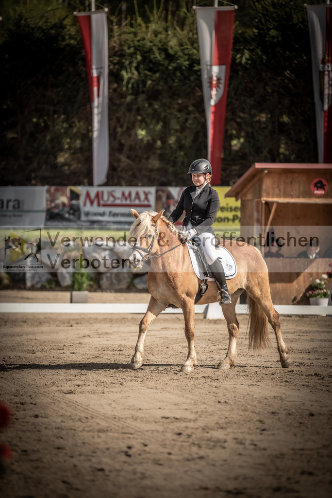 DSC_8682 | equestrian-live-com
