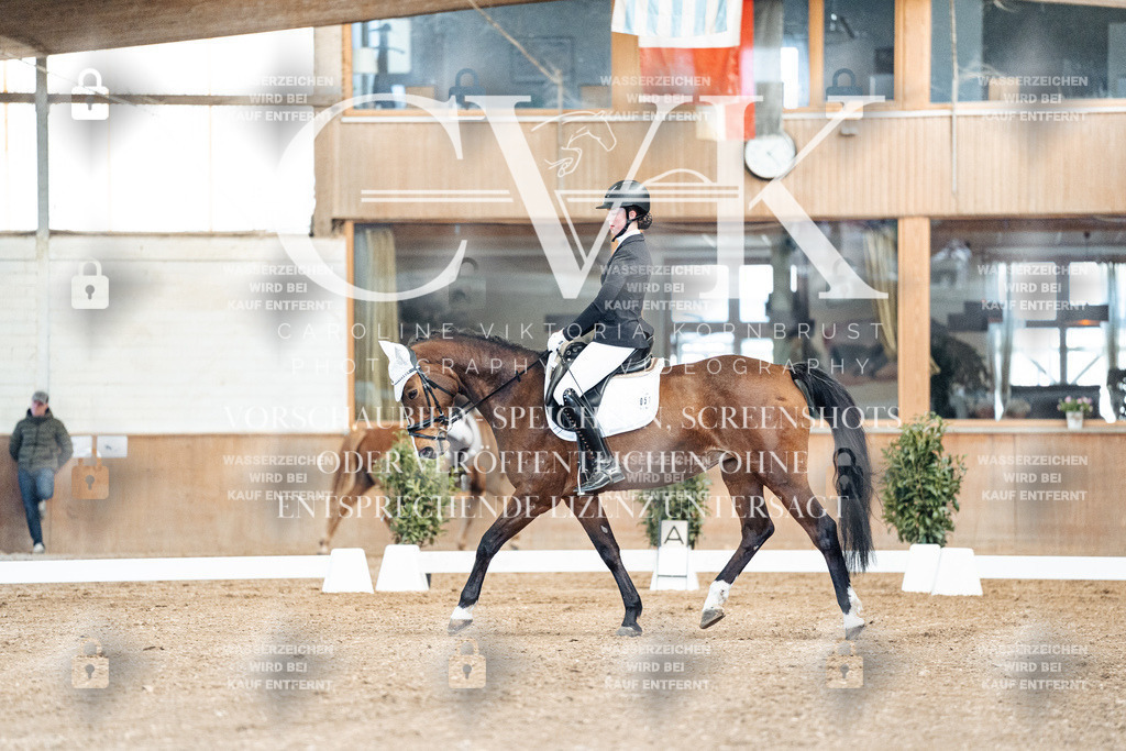 CK900675 | Turnierfotografie Pferdefotografie Trier Rheinland-Pfalz Pferdesport Reitsport Tierfotografie Sportfotografie Pferdevideo Pferdevideografie Equestrianvideography equestrianphotography  - Realisiert mit Pictrs.com