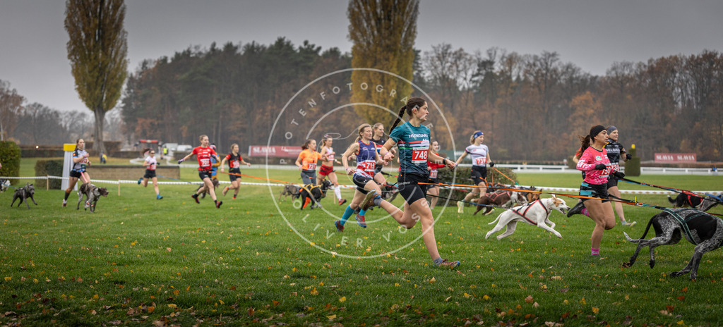 CaniXpix_DV3A8805 | Hundefotografie, Tierfotograf, Pfotenfotografie, Fotoshooting Hund, Hunde Portrait, Hundesport, Hundeportraits, Heideshooting, Hunde, Sportfotograf, Hundefotograf, Turnierhundsport, THS,  - Realisiert mit Pictrs.com