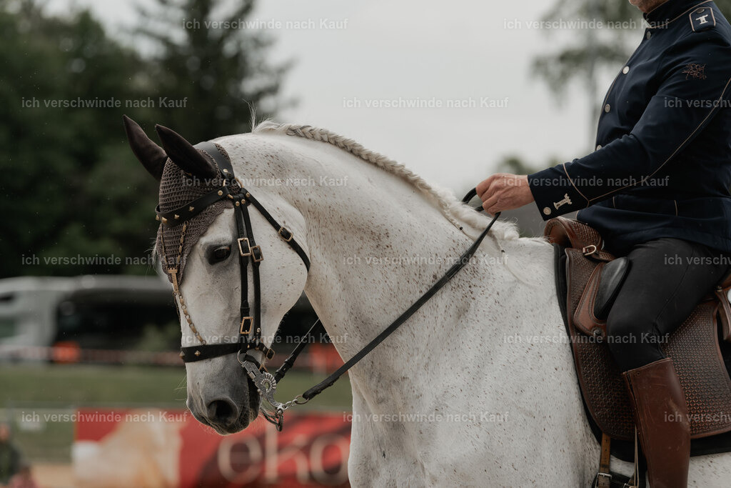 WE_DR_Stoib_327_PI2025_771 | Pferd International München 2025