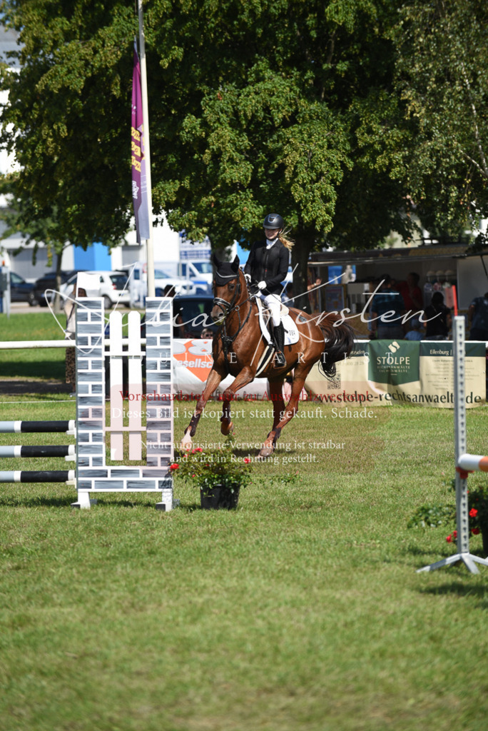 DSC_9171 | Pferde- und Turnierfotografie in Westsachsen. Pferdeportraits, Auftragszeichnungen und intuitive Kunst.
