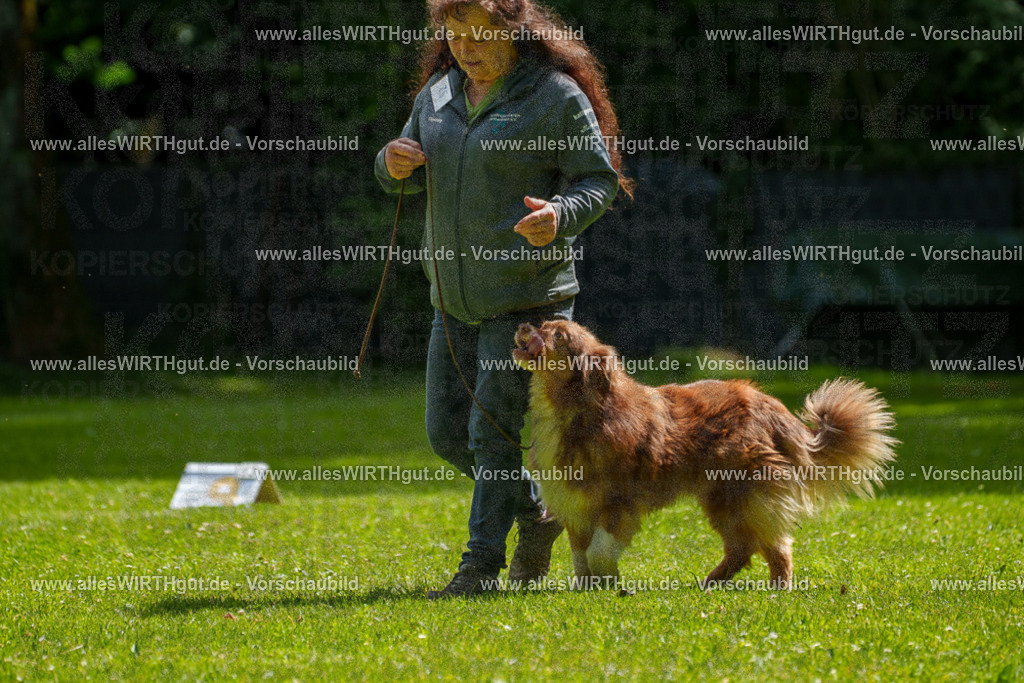 @allesWIRTHgut_Tierfotografie - www.allesWIRTHgut.de - 7R500855 | Professionelle Tierfotografie in Mönchengladbach von Daniel Wirth (allesWIRTHgut). Liebevolle & natürliche Bilder von Hunden & Katzen für unvergessliche Erinnerungen.