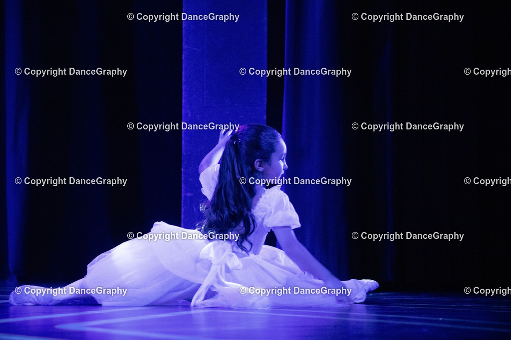 GPHY2555 | DanceGraphy - Realisiert mit Pictrs.com