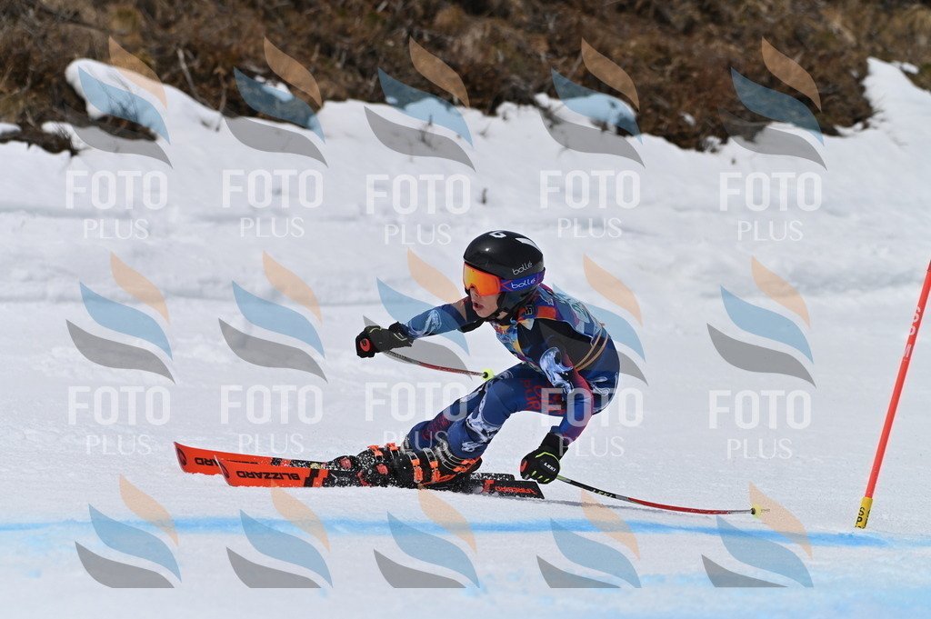 BGV_4834 | holidayphoto