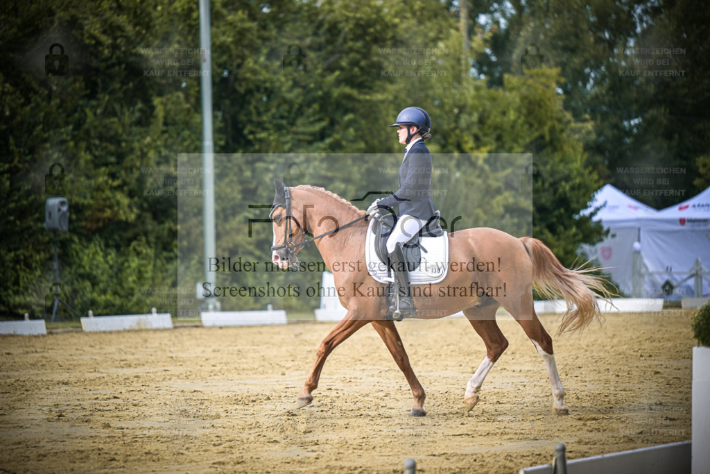 DOS_9944 | Entdecke hochwertige Reitturnierfotos von Foto Oger. Professionell, emotional und authentisch – jetzt Lieblingsmomente im Shop bestellen. - Realisiert mit Pictrs.com