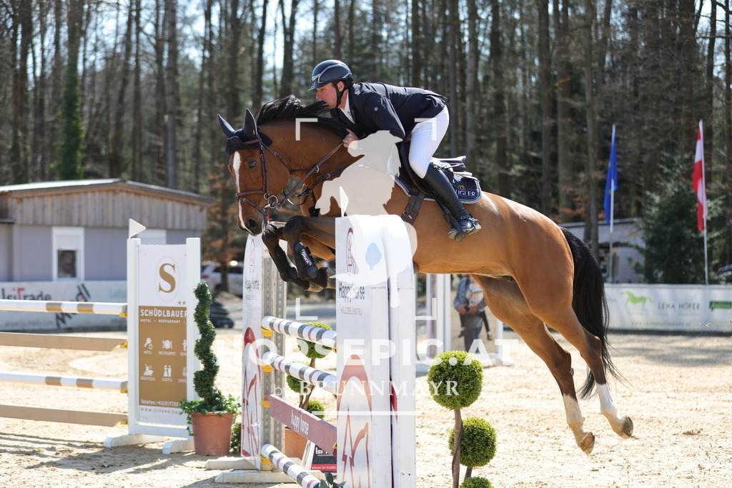 0P6A0890 | Willkommen bei Brunnmayr - Design & Fotografie – Ihrem Spezialisten für Reitturniere und Pferdeveranstaltungen in Oberösterreich, Salzburg und Bayern! Seit über 17 Jahren sind wir leidenschaftlich dabei.