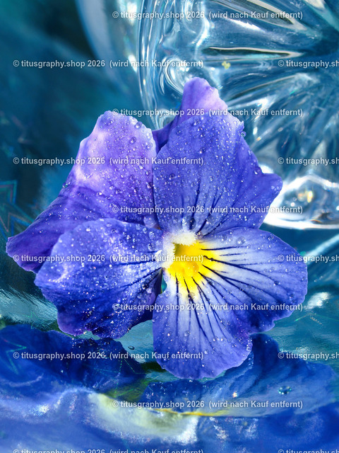titusgraphy_P6280498-vz-ln | titusgraphy-shop: Geschenkideen mit Qualitätsfotos. titusgraphy-shop: gift ideas with quality photos. titusgraphy-shop: idées cadeaux avec photos de qualité.  - Realisiert mit Pictrs.com