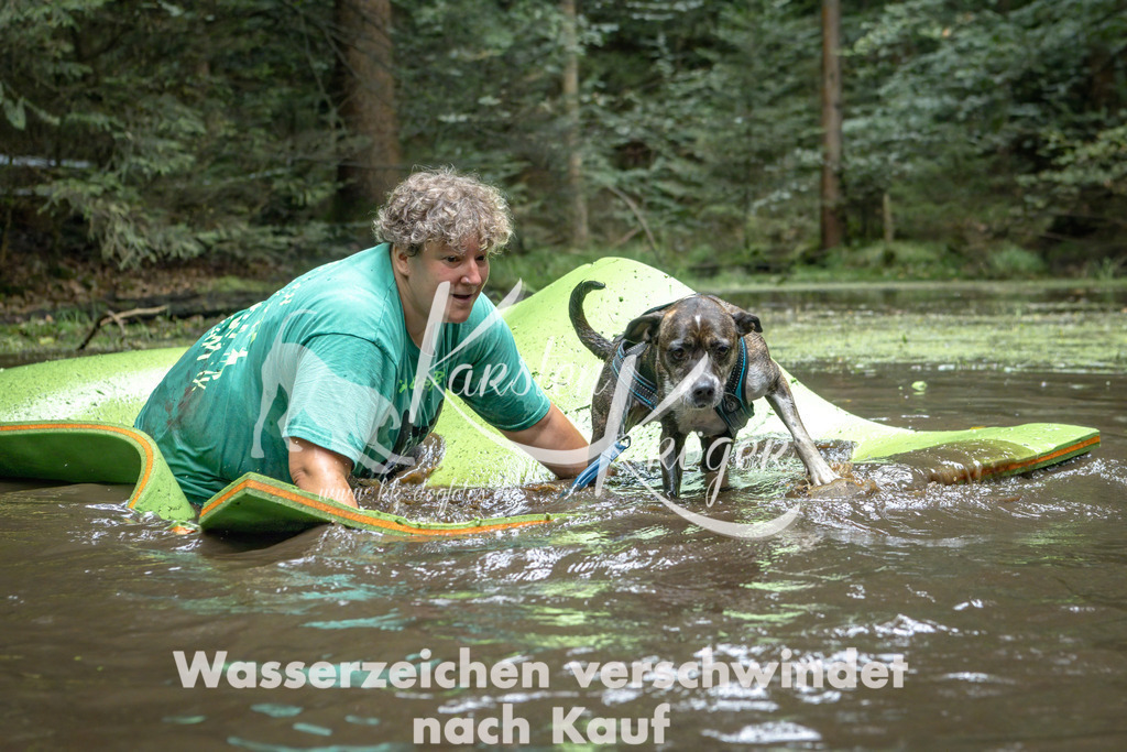 1515_ZZ90026-Bearbeitet | kk-dogfotos