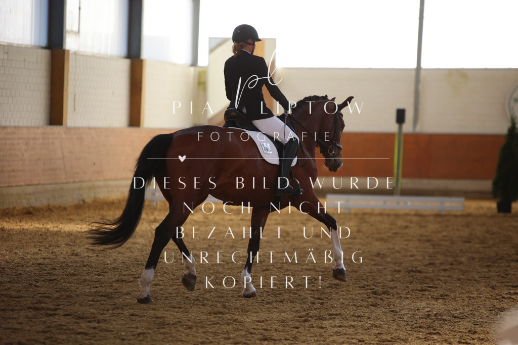 IMGT6998 | pl-fotografie