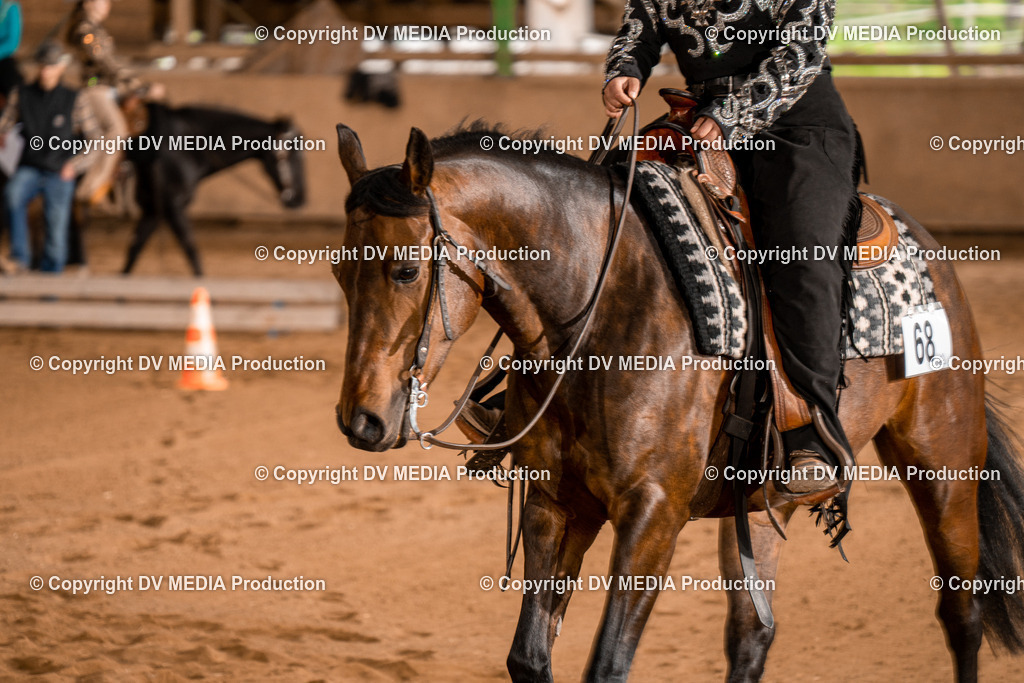 BA400677 | dv-media-shop - Realisiert mit Pictrs.com