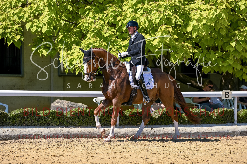 Schugtsche-Aluta25-50.Dressurpferdeprf.L-18 | Schugtsche Fotografie - Realisiert mit Pictrs.com